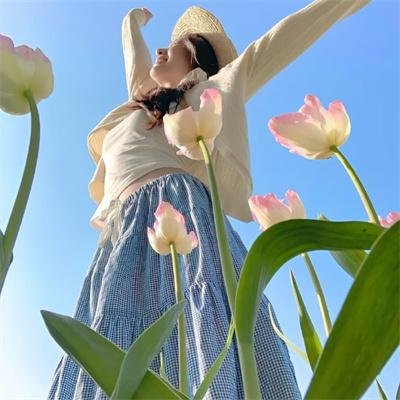 隼鹰